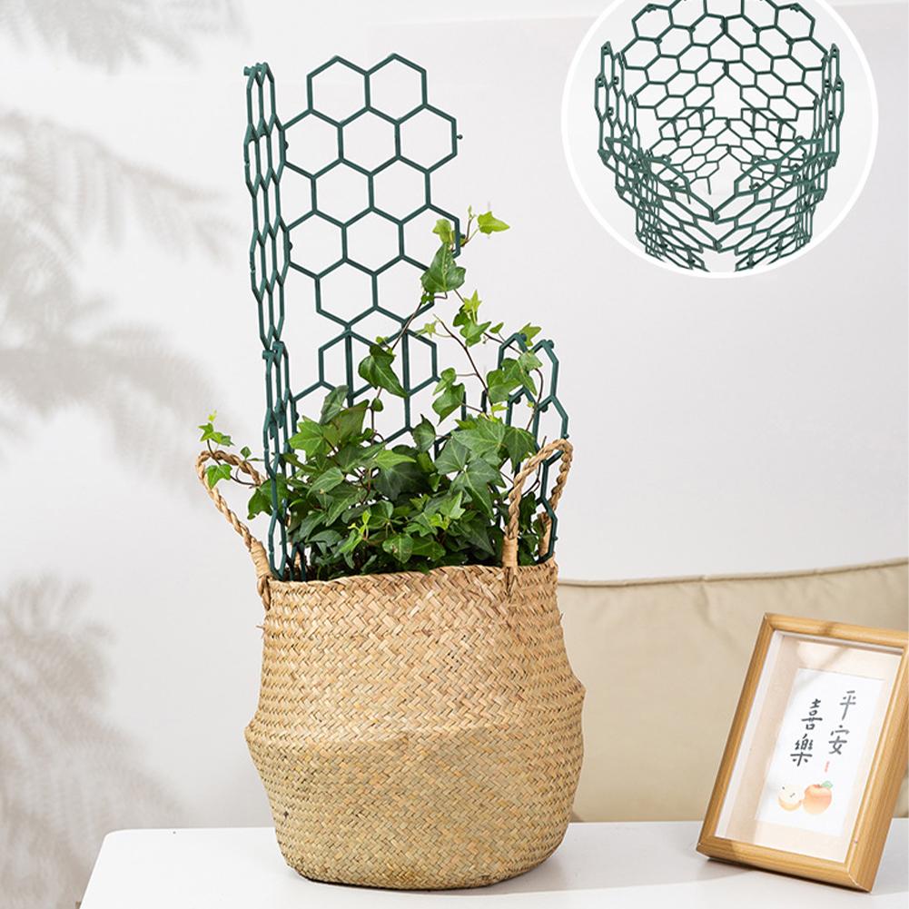 1/2/5Pcs Plastic Plant Support - Florist Supp のレビューと価格