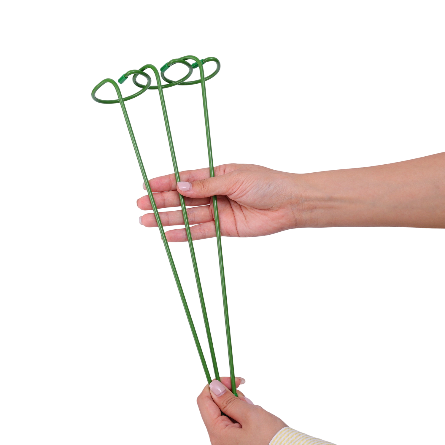 1/10pcs Garden Support Stake R - Florist Supp のレビューと価格