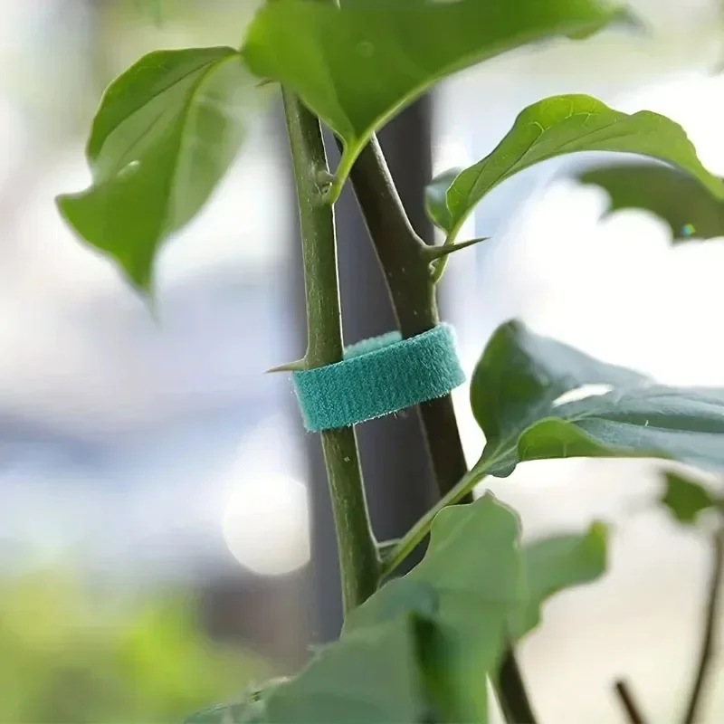 Garden Tape Nylon Cable Tie fo - Florist Supp のレビューと価格