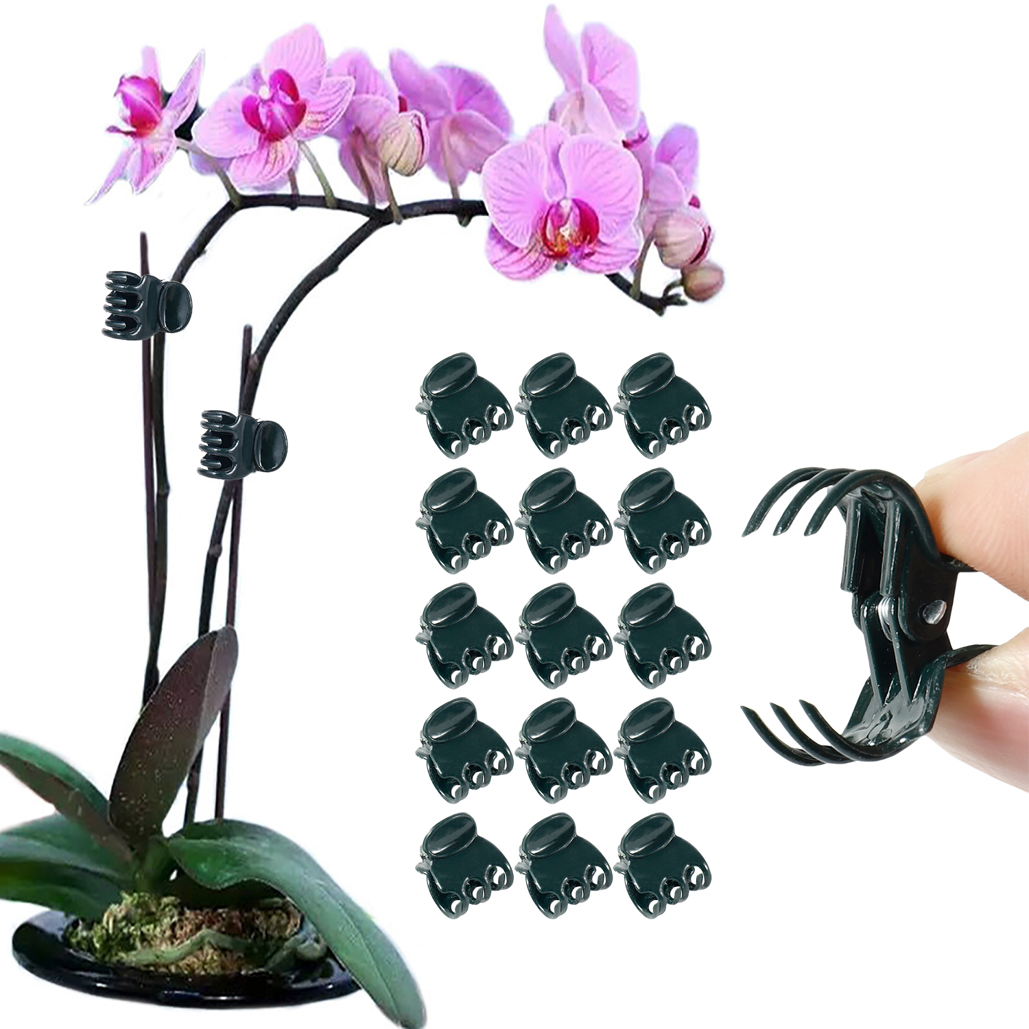 50/100Pcs Plant Clips Butterfl - Florist Supp のレビューと価格