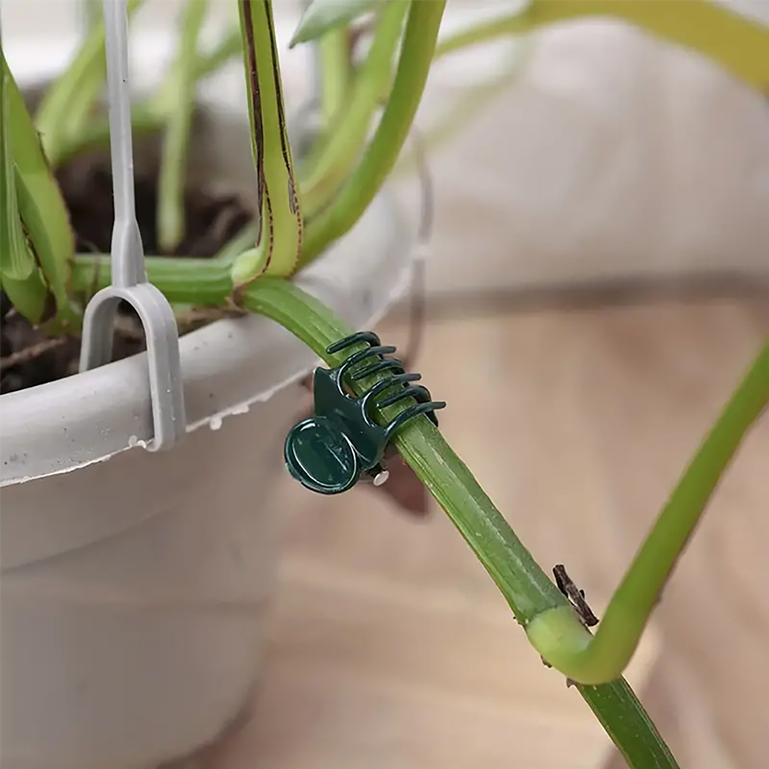 50/100Pcs Plant Clips Butterfl - Florist Supp のレビューと価格