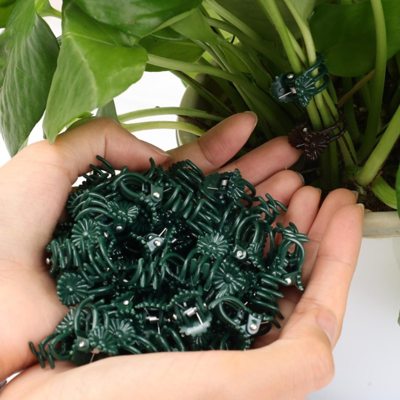 Wholesale Mini Plant Support C - Florist Supp のレビューと価格