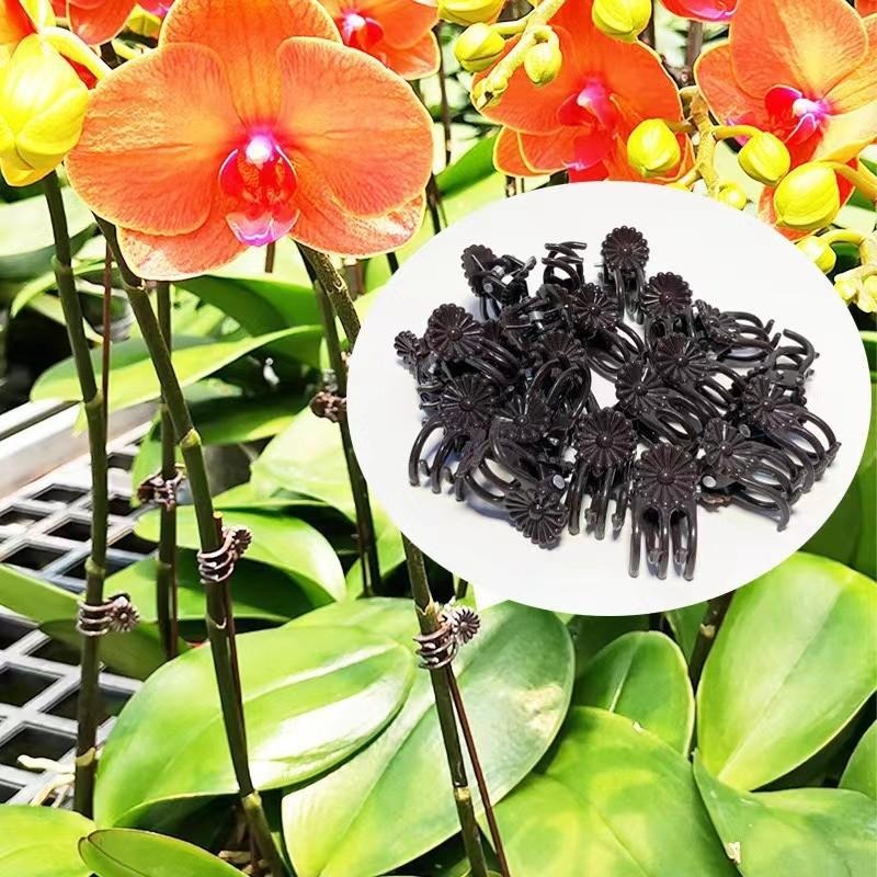 Wholesale Mini Plant Support C - Florist Supp のレビューと価格
