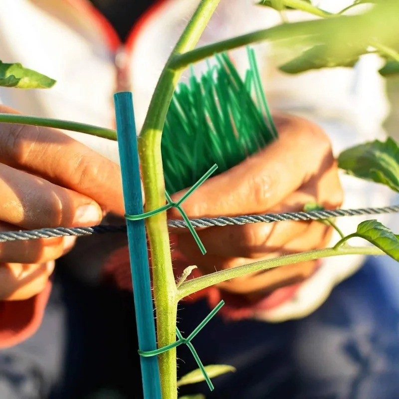 Plant Support Sticks Canes Bam - Florist Supp のレビューと価格