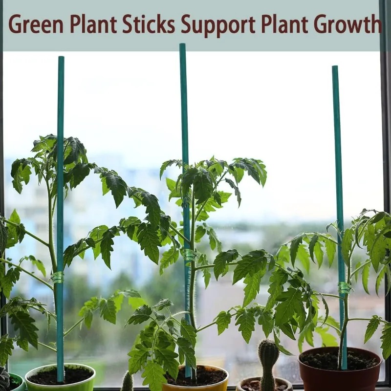Plant Support Sticks Canes Bam - Florist Supp のレビューと価格