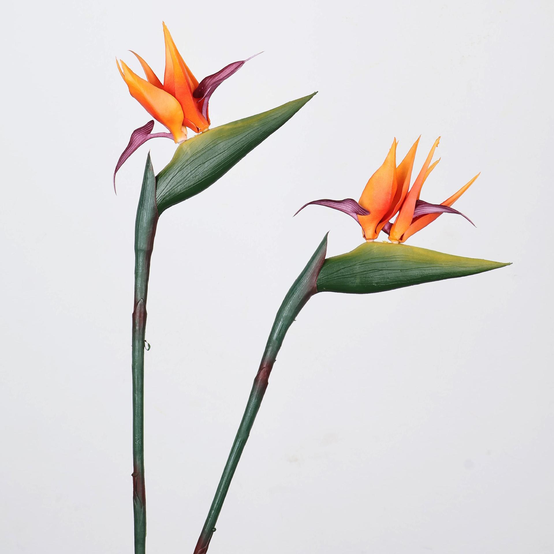 33 Inch Artificial Bird Of Par - Florist Supp のレビューと価格
