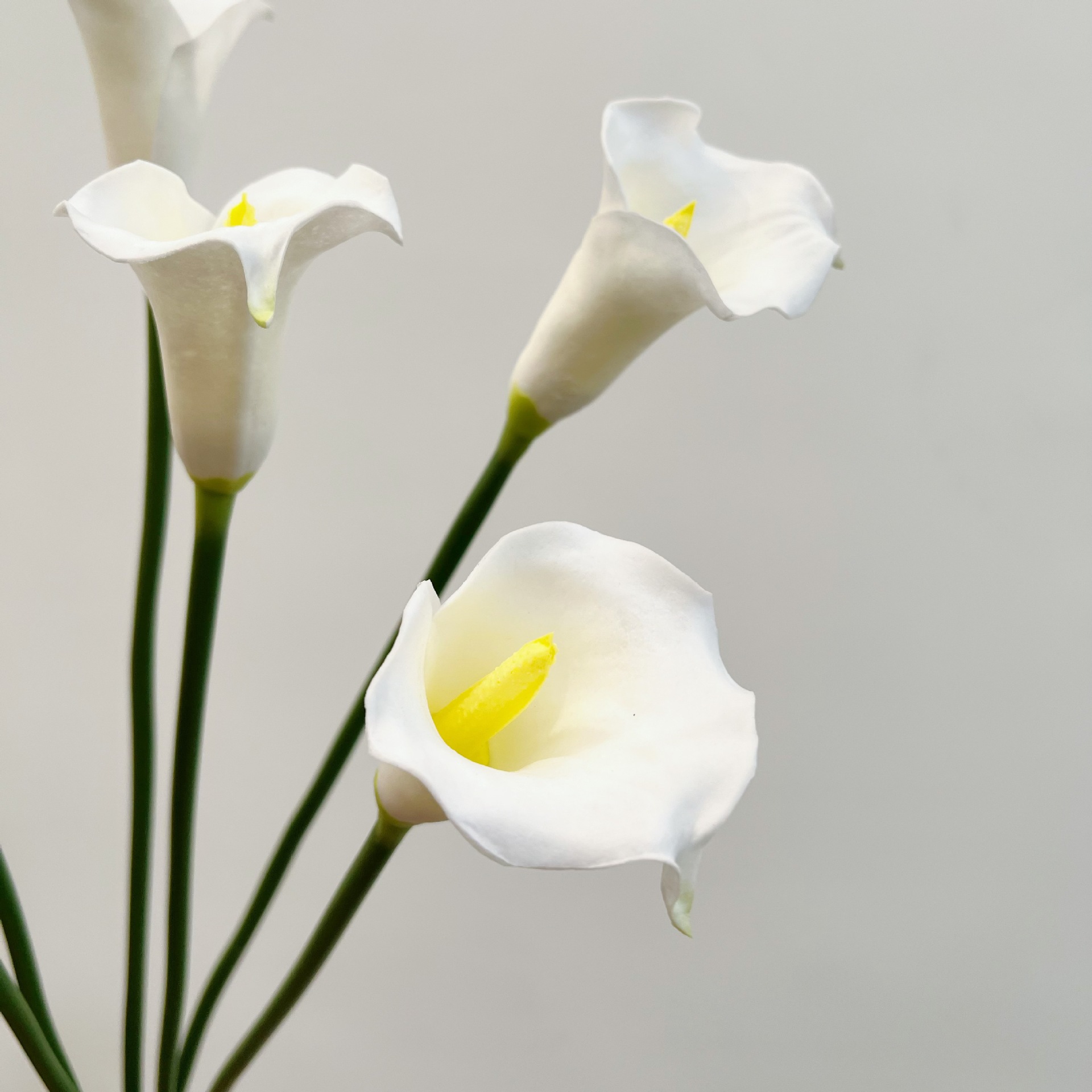 26 Inch Single Stem Crescent C - Florist Supp のレビューと価格