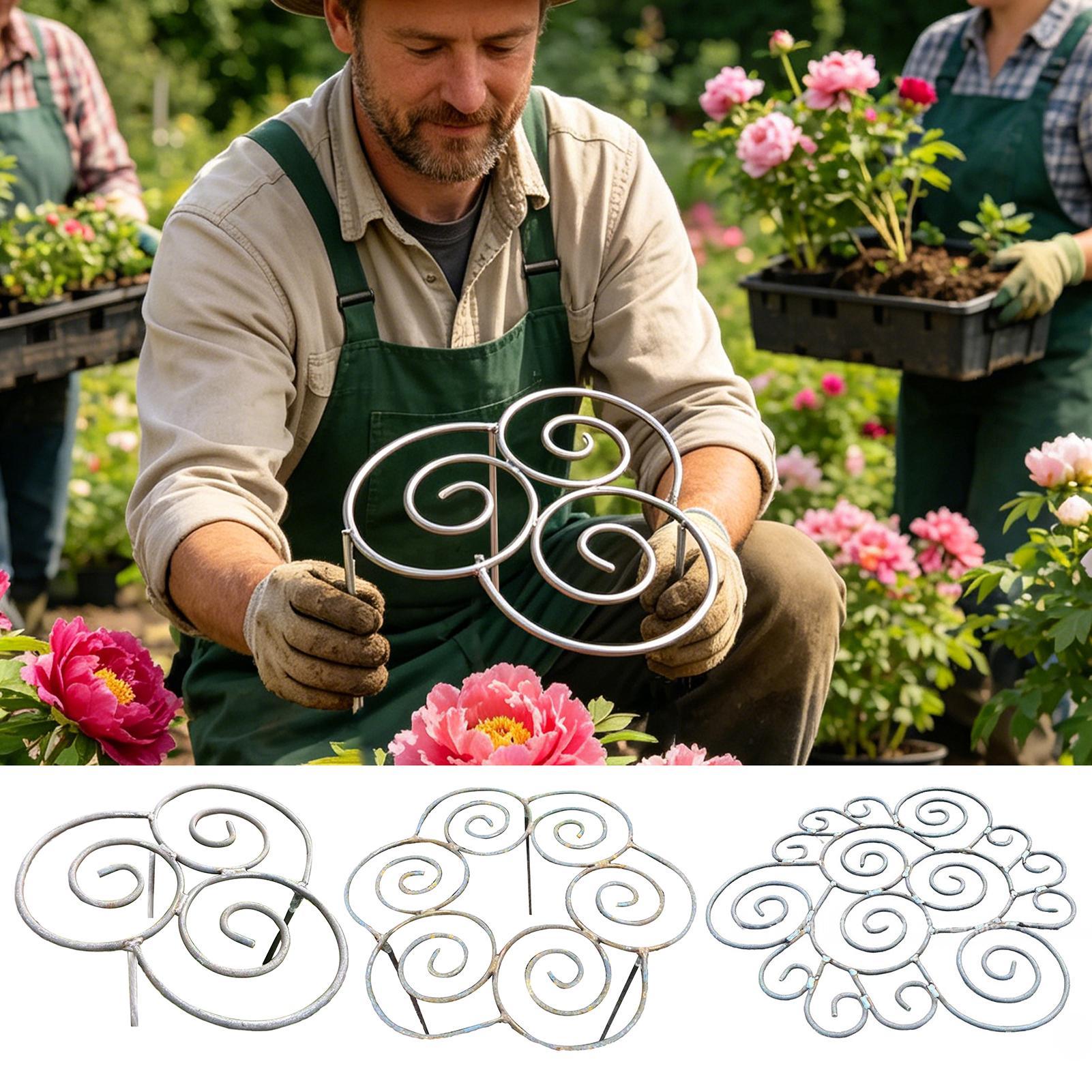 Peony Cage Heavy Duty Metal We - Florist Supp のレビューと価格