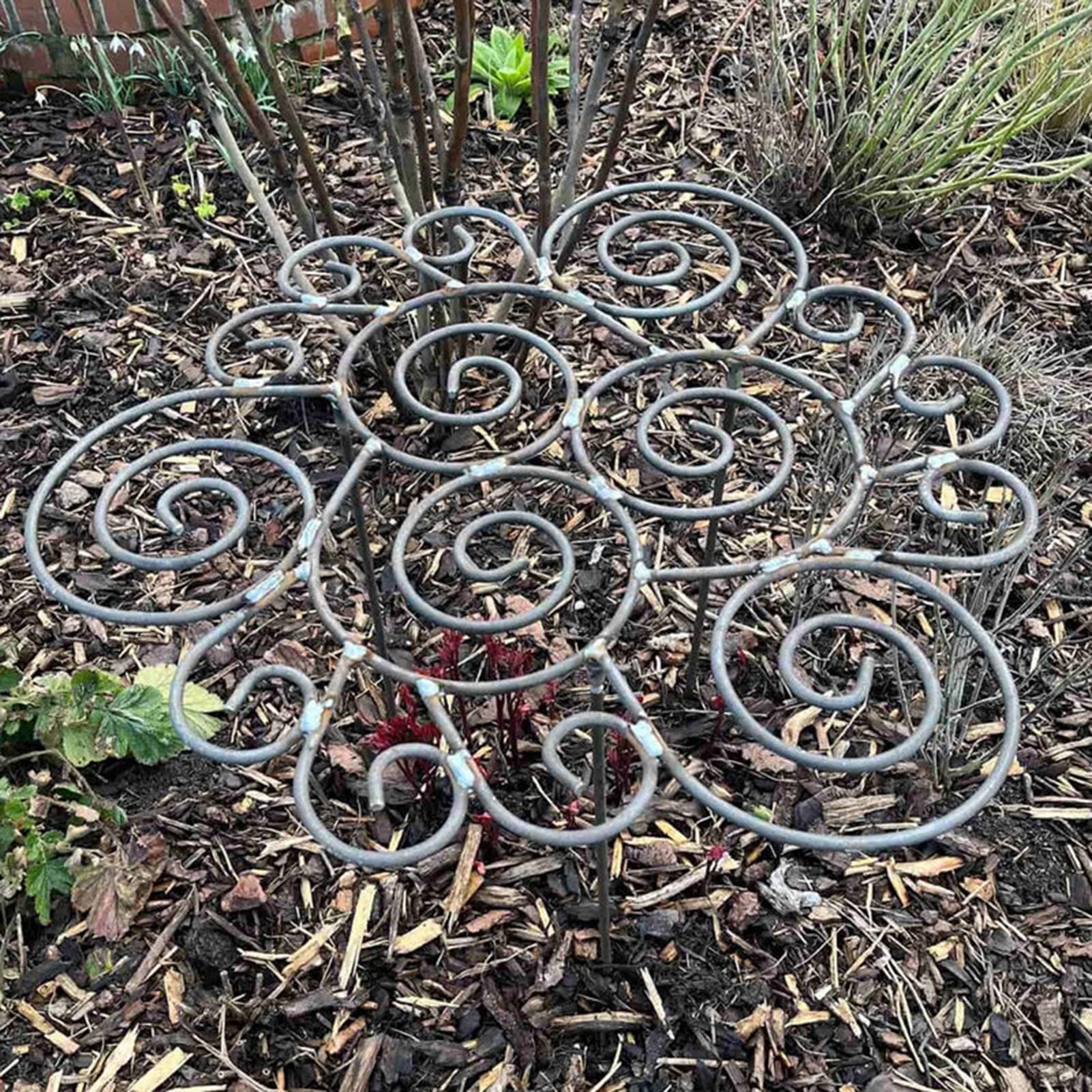 Peony Cage Heavy Duty Metal We - Florist Supp のレビューと価格