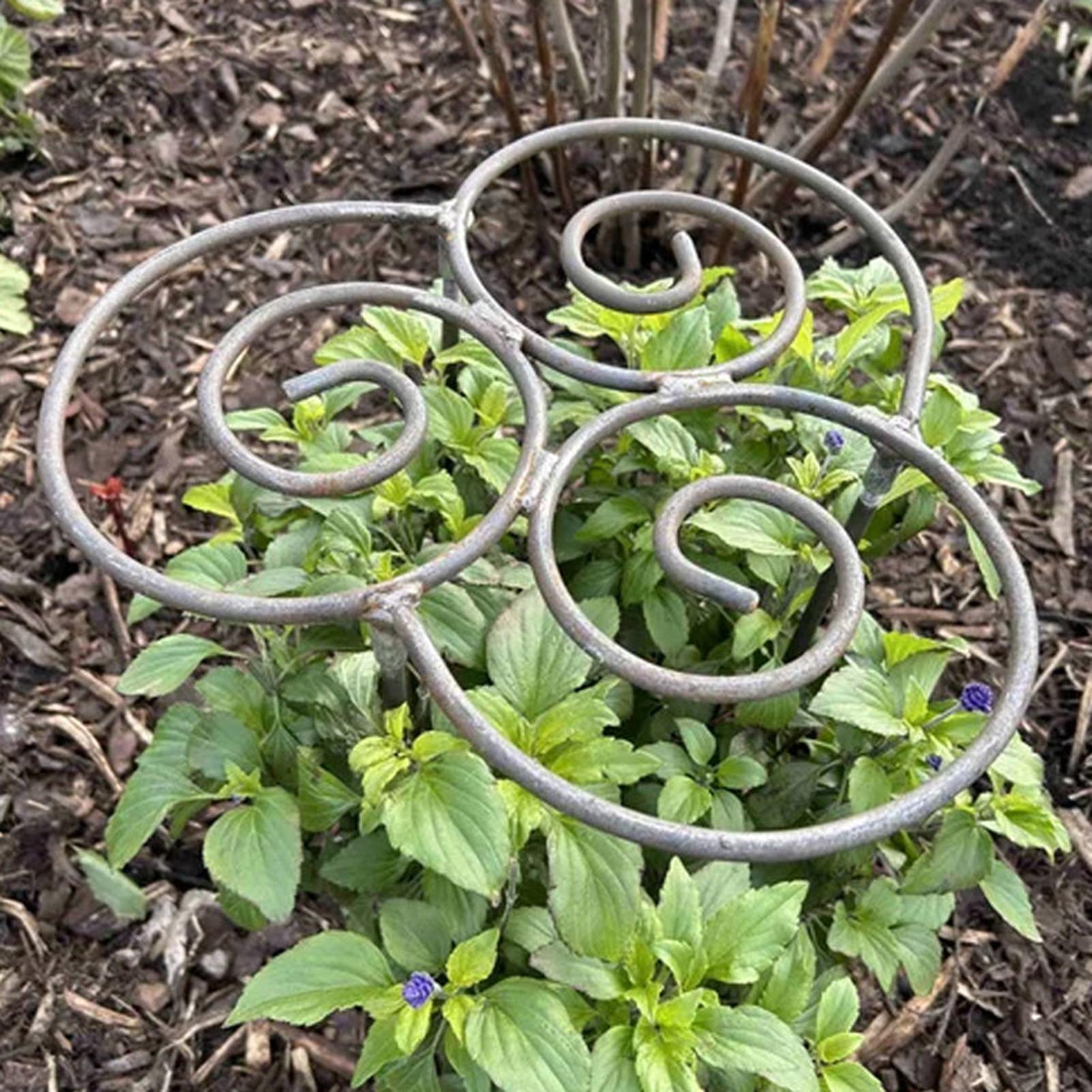 Peony Cage Heavy Duty Metal We - Florist Supp のレビューと価格