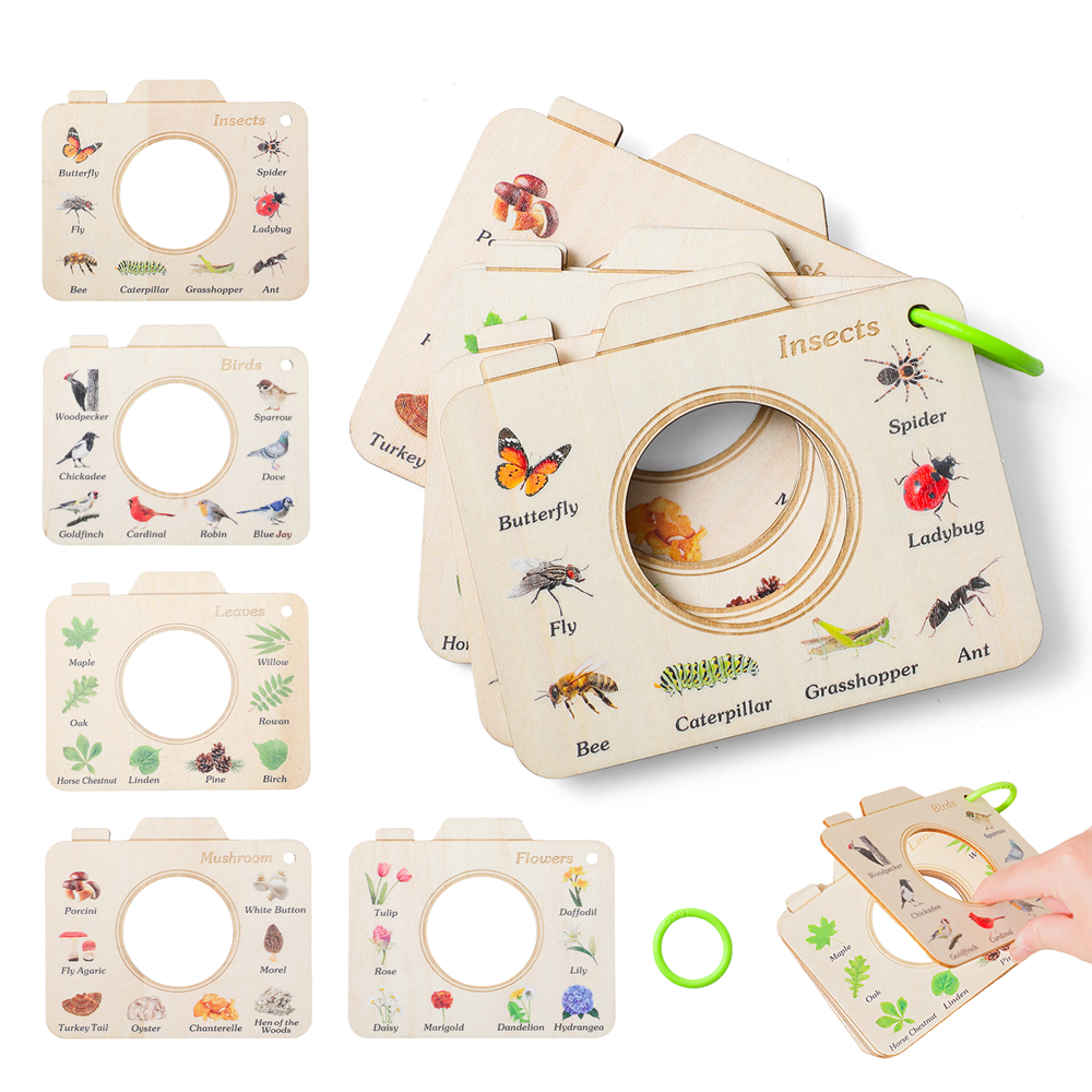 Wooden Camera Shape Nature Cog - Florist Supp のレビューと価格