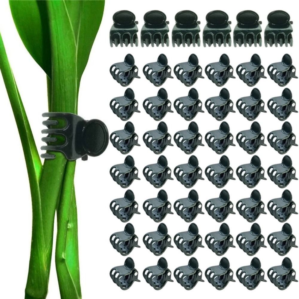Vine Grafting Plant Clips Supp - Florist Supp のレビューと価格