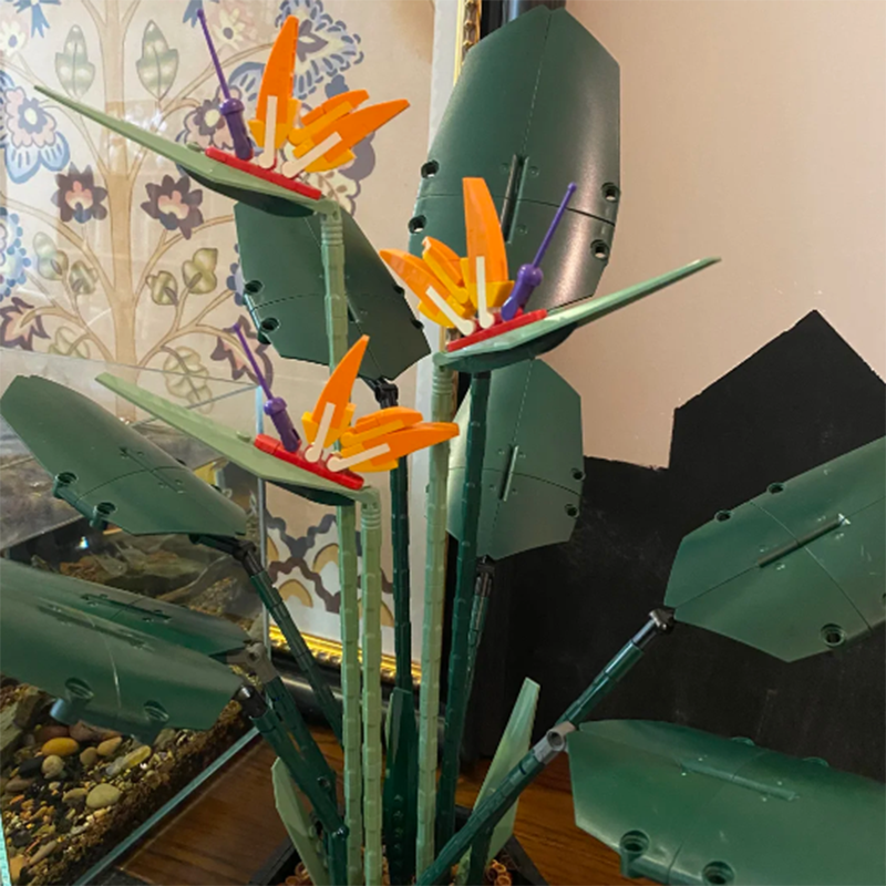 1378PCS Paradise Bird Potted P - Florist Supp のレビューと価格