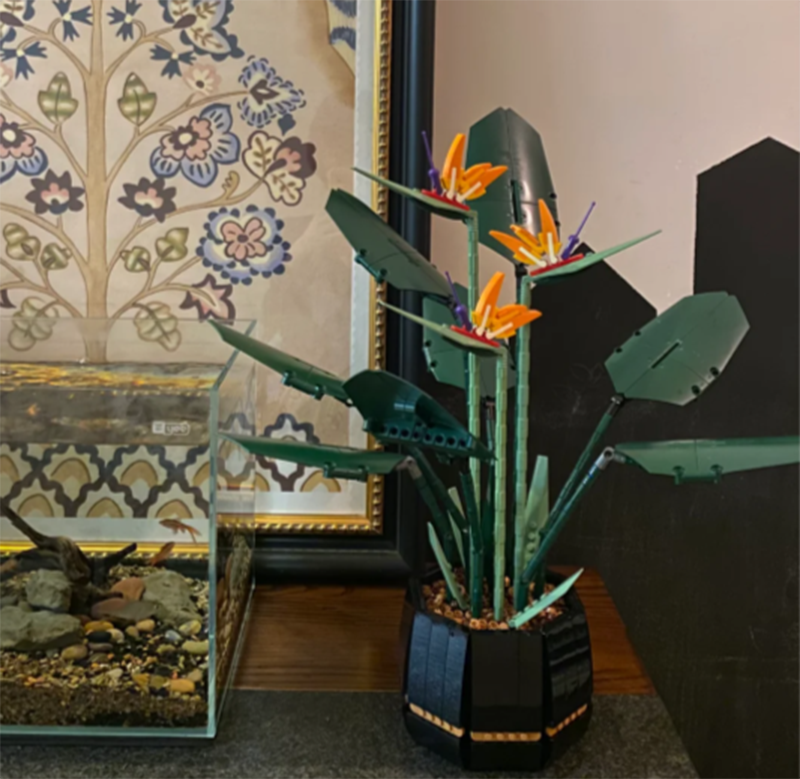 1378PCS Paradise Bird Potted P - Florist Supp のレビューと価格
